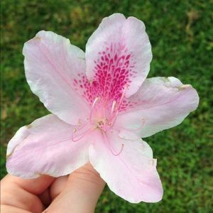 Meet your Posher, Joanna